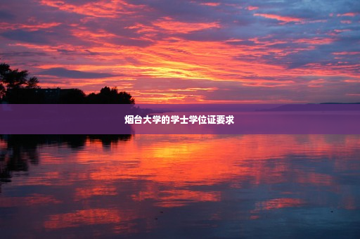 烟台大学的学士学位证要求