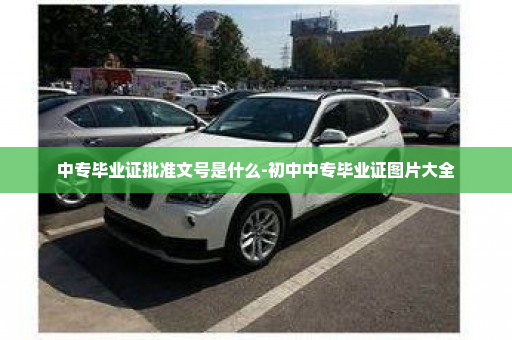 中专毕业证批准文号是什么-初中中专毕业证图片大全