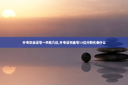中专毕业证号一共有几位,中专证书编号13位分别代表什么