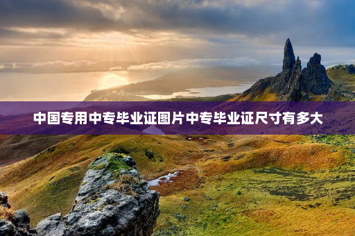 中国专用中专毕业证图片中专毕业证尺寸有多大