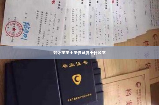 会计学学士学位证属于什么学