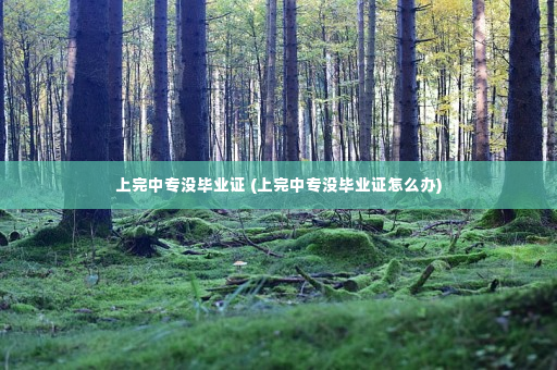 上完中专没毕业证 (上完中专没毕业证怎么办)