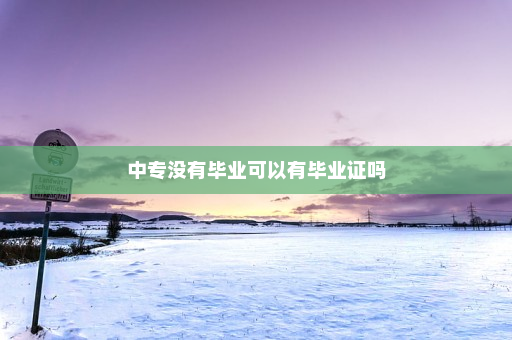 中专没有毕业可以有毕业证吗