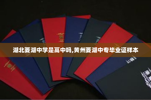 湖北菱湖中学是高中吗,黄州菱湖中专毕业证样本