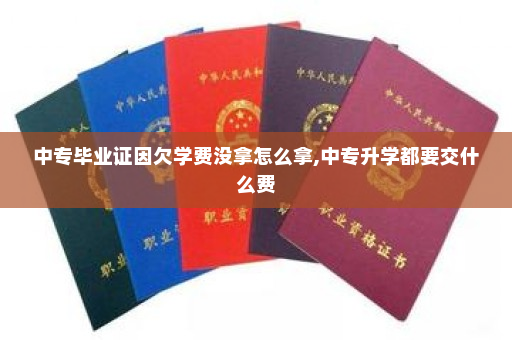 中专毕业证因欠学费没拿怎么拿,中专升学都要交什么费