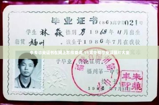 中专毕业证书在网上怎样查询,19级中专毕业证图片大全