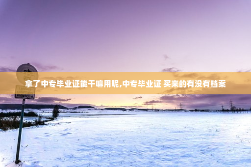 拿了中专毕业证能干嘛用呢,中专毕业证 买来的有没有档案