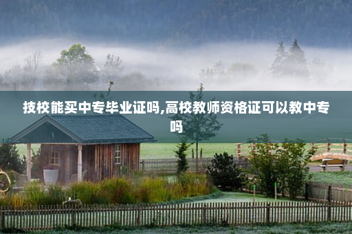 技校能买中专毕业证吗,高校教师资格证可以教中专吗