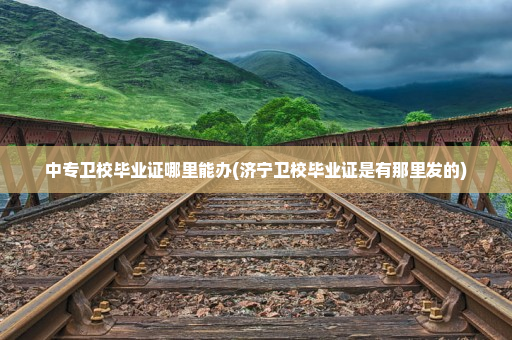 中专卫校毕业证哪里能办(济宁卫校毕业证是有那里发的)