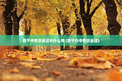 西宁中专毕业证长什么样 (西宁办中专毕业证)