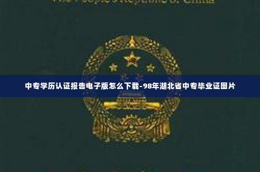 中专学历认证报告电子版怎么下载-98年湖北省中专毕业证图片
