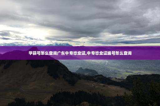 学籍号怎么查询广东中专毕业证,中专毕业证编号怎么查询