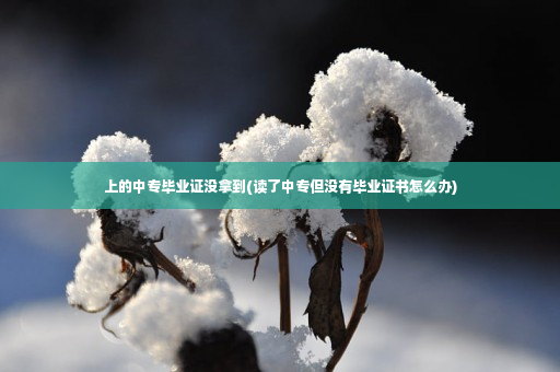 上的中专毕业证没拿到(读了中专但没有毕业证书怎么办)