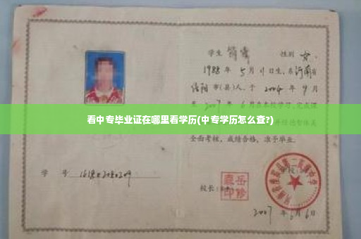 看中专毕业证在哪里看学历(中专学历怎么查?)
