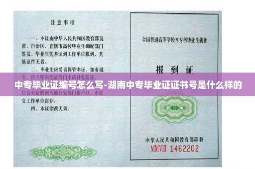 中专毕业证编号怎么写-湖南中专毕业证证书号是什么样的