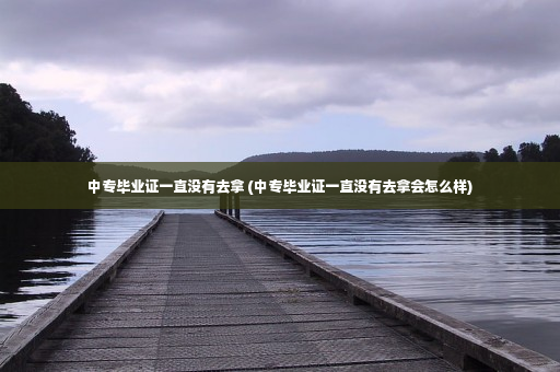 中专毕业证一直没有去拿 (中专毕业证一直没有去拿会怎么样)