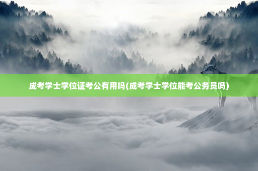 成考学士学位证考公有用吗(成考学士学位能考公务员吗)