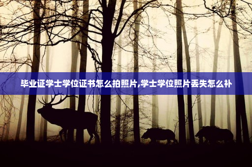 毕业证学士学位证书怎么拍照片,学士学位照片丢失怎么补