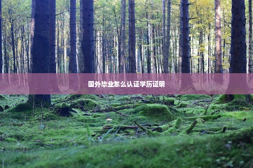 国外毕业怎么认证学历证明