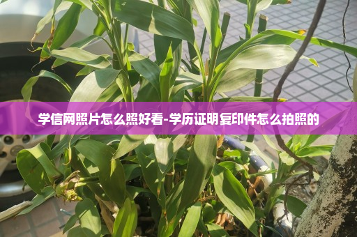 学信网照片怎么照好看-学历证明复印件怎么拍照的