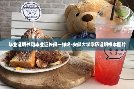 毕业证明书和毕业证长得一样吗-安徽大学学历证明样本图片