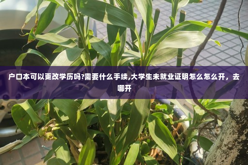 户口本可以更改学历吗?需要什么手续,大学生未就业证明怎么怎么开，去哪开