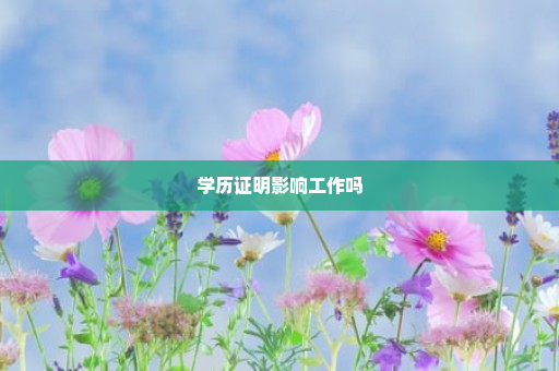 学历证明影响工作吗