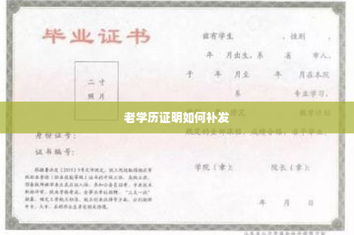 老学历证明如何补发