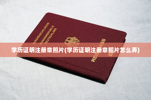 学历证明注册章照片(学历证明注册章照片怎么弄)