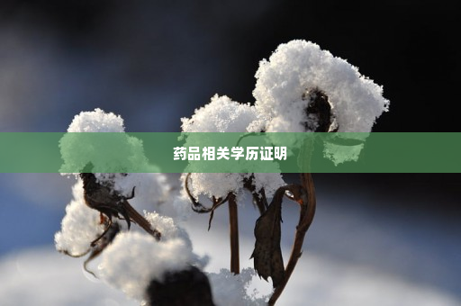 药品相关学历证明
