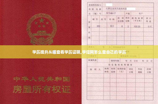 学历提升从哪查看学历证明,学信网怎么查自己的学历