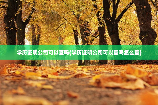 学历证明公司可以查吗(学历证明公司可以查吗怎么查)