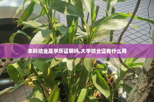 本科结业是学历证明吗,大学结业证有什么用