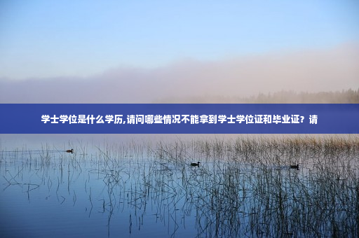 学士学位是什么学历,请问哪些情况不能拿到学士学位证和毕业证？请