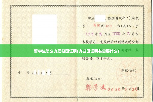 留学生怎么办理归国证明(办归国证明书需要什么)