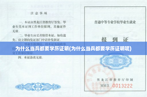 为什么当兵都要学历证明(为什么当兵都要学历证明呢)