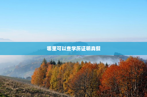 哪里可以查学历证明真假