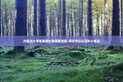 内蒙古大学生租房补贴领取流程-呼市学历认证中心电话