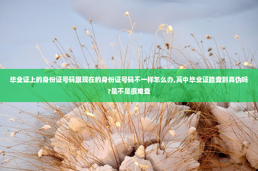 毕业证上的身份证号码跟现在的身份证号码不一样怎么办,高中毕业证能查到真伪吗?是不是很难查